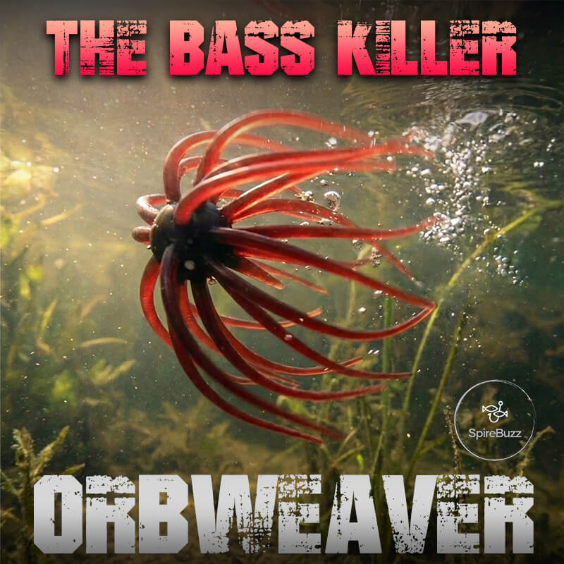 spirebuzz™-orbweaver