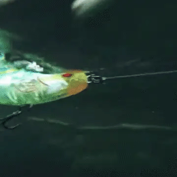 FLOATING ROTATING TAIL LURE HARD BAIT (1 Pcs)