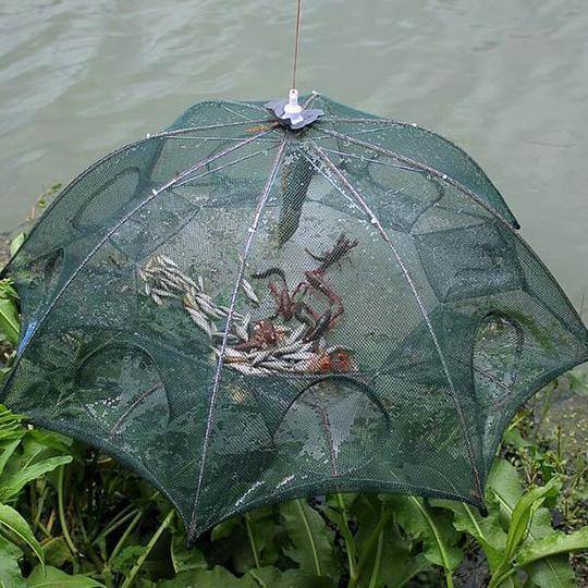 Collapsible Catching Fish Trap – SpireBuzz