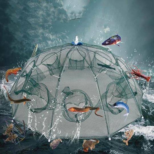 Collapsible Catching Fish Trap - SpireBuzz